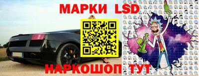 шишки Заволжье