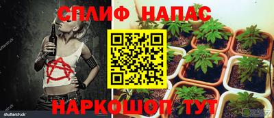 мет Жуковский