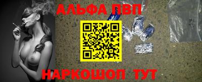 шишки Заволжье