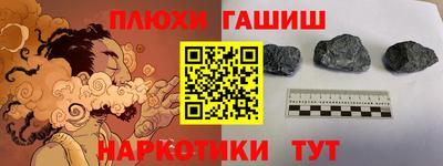 шишки Заволжье