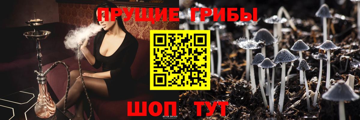 Псилоцибиновые грибы прущие грибы  Псилоцибиновые грибы мухоморы  Кызыл  Вход с VPN 